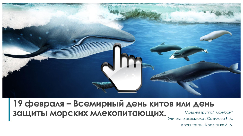 19 февраля – Всемирный день китовгр. Колибри,2024 г 